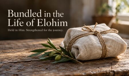 Bundled in the Life of Elohim